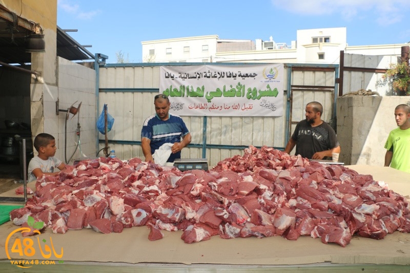 lod8om ada73y (99).JPG